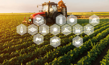 Innovation in Agriculture in India