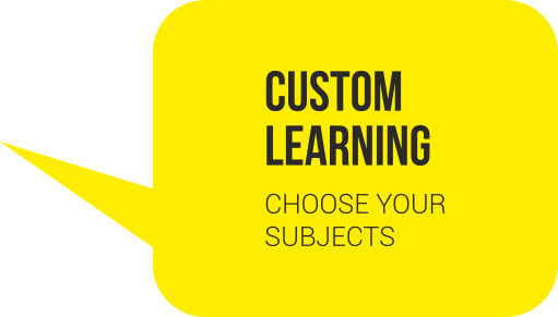 Custom Learning