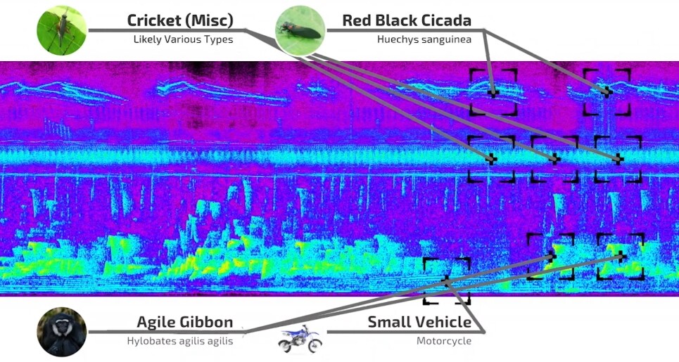 cloud data lake infrastructure and solutions for sound data analysis