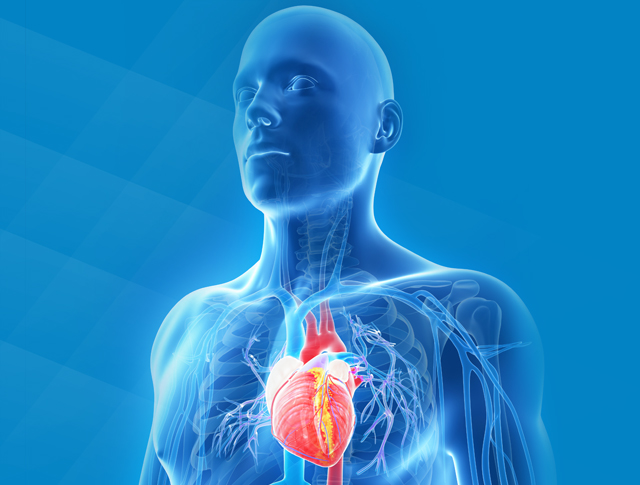 WVU Heart and Vascular Institute