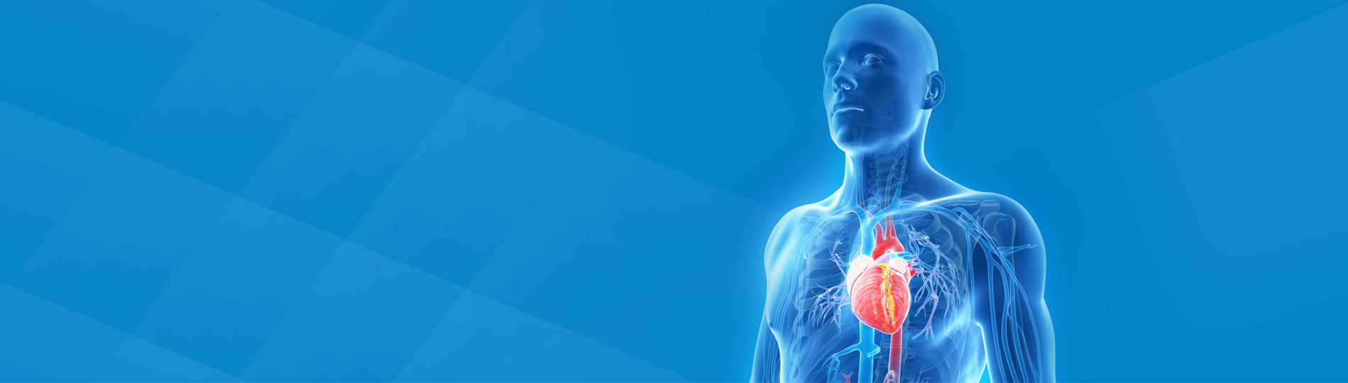 WVU Heart and Vascular Institute