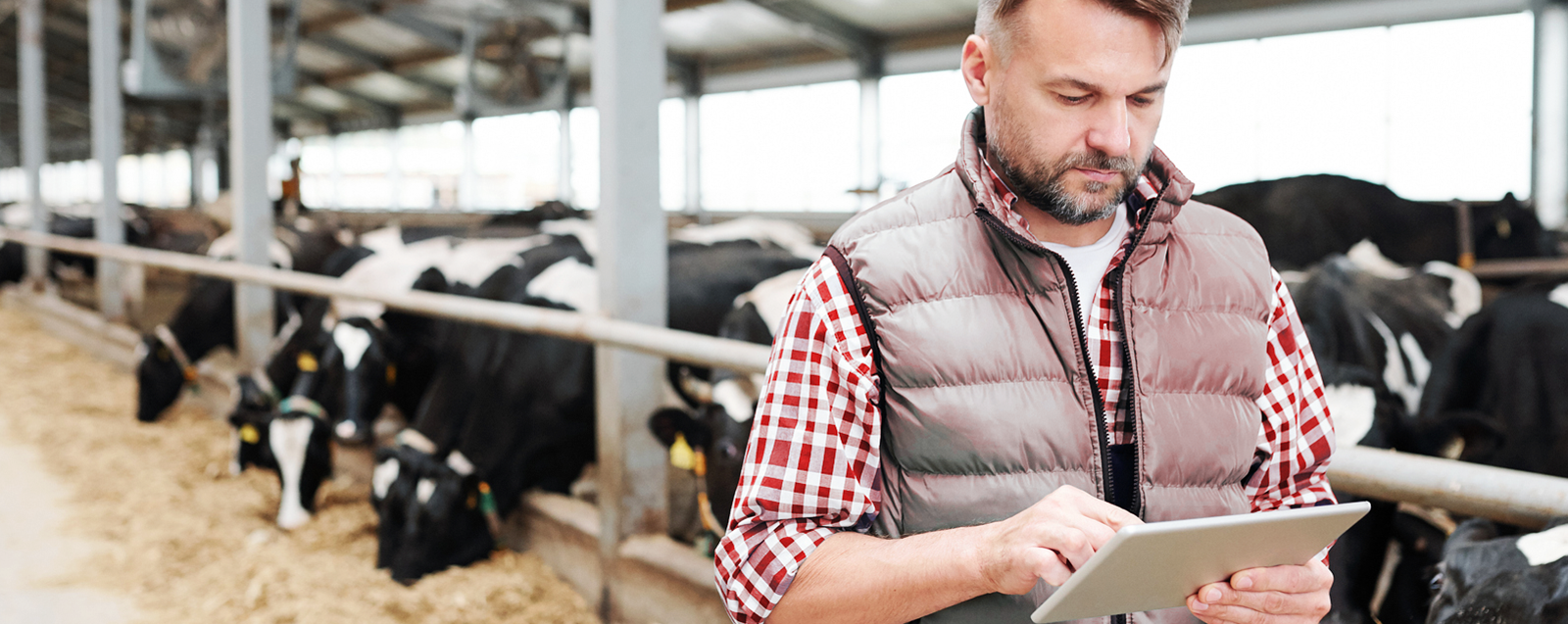 IoT for smart farming
