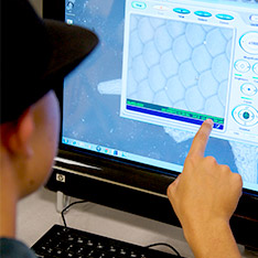 revolution in stem education