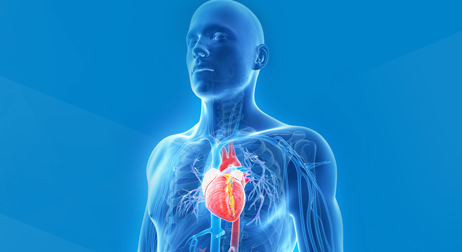 Hitachi Hart Hemodynamics Research