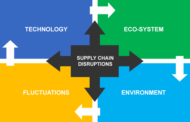 Supply Chain Disruptions